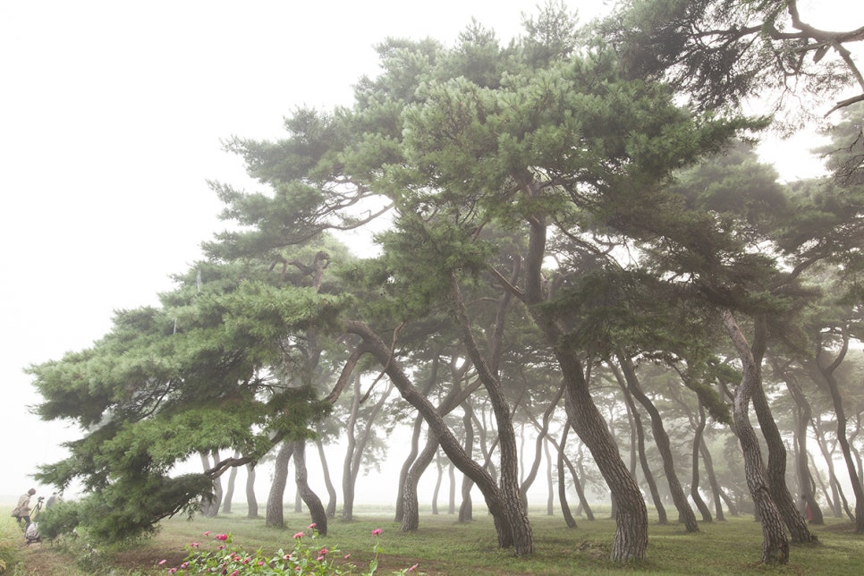 보은여인숙 이미지
