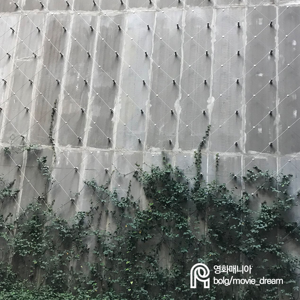 꽃숲 이미지