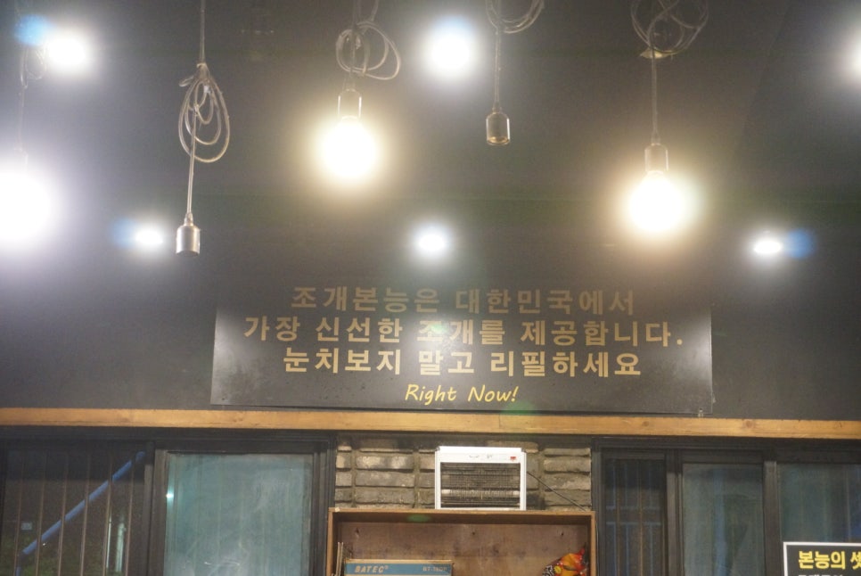 조개본능 이미지
