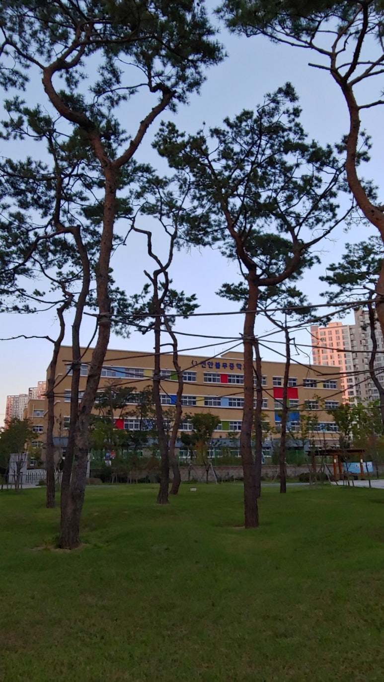 자연담어린이집 이미지