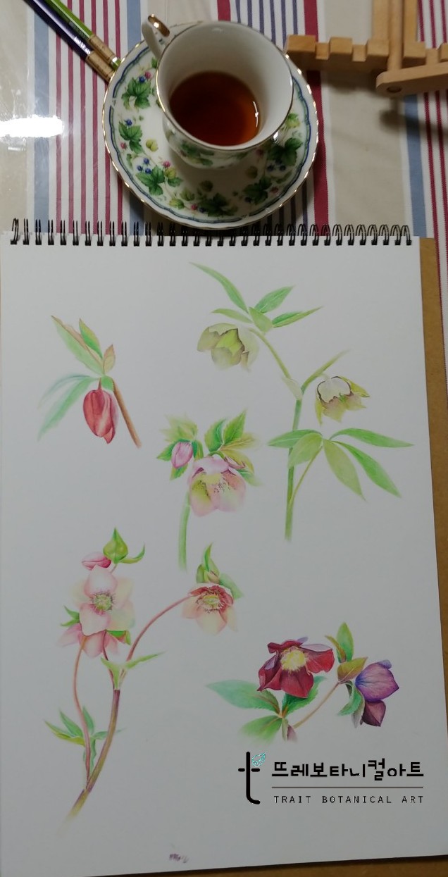 (주)뜨레 이미지