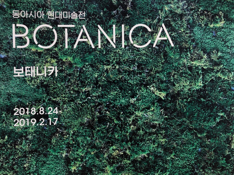 보태니카 이미지