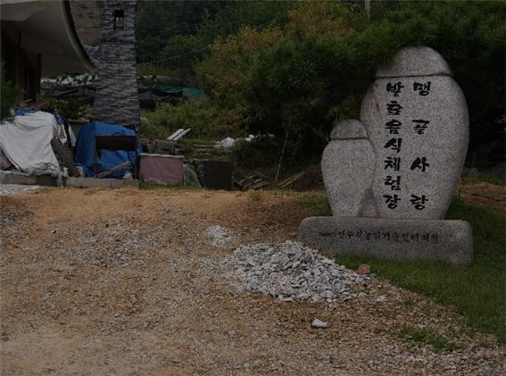 맹골사랑 이미지