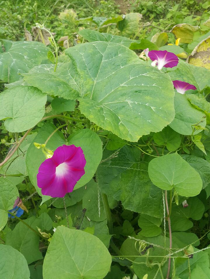 (유)희성산업 이미지