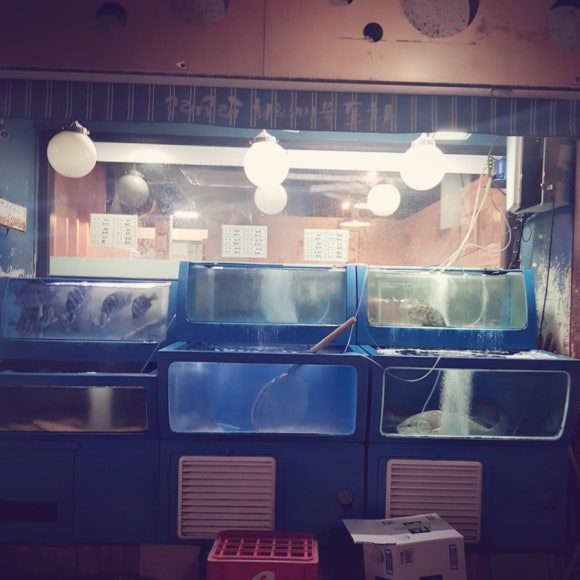 고래고래회&해산물포차 이미지