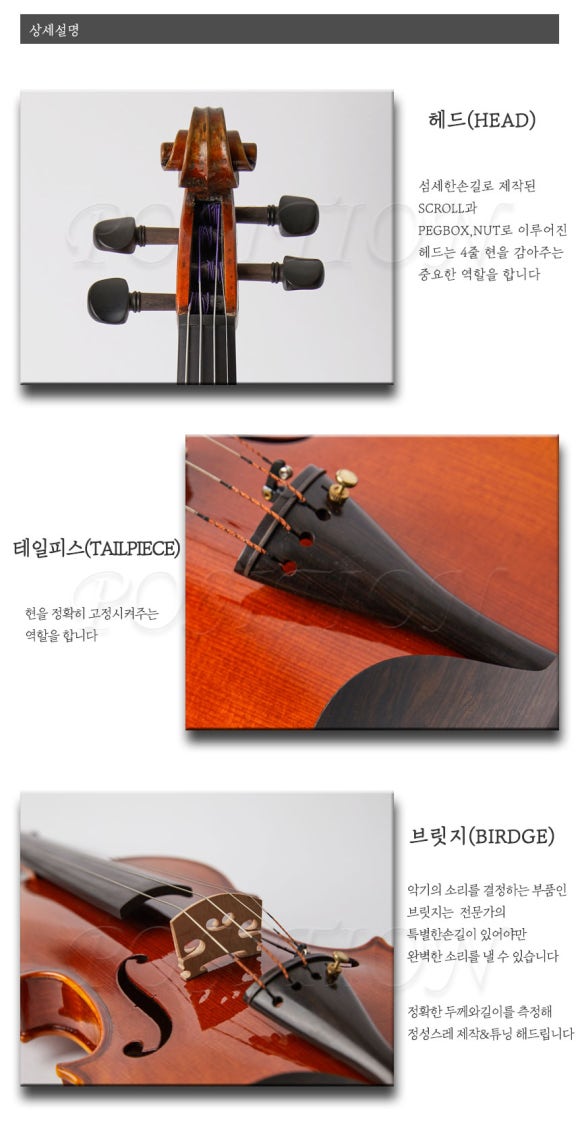 로망스악기 이미지