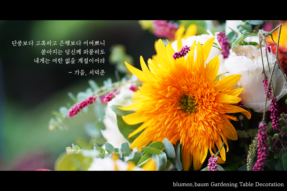 테이블가드닝 이미지