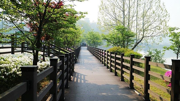 소파(so,far) 이미지