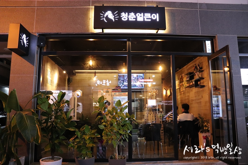청춘얼큰이 이미지