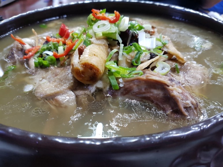 예일오리숲 이미지