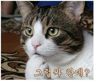 맥 이미지
