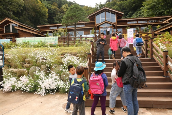 꿈과희망의숲 이미지