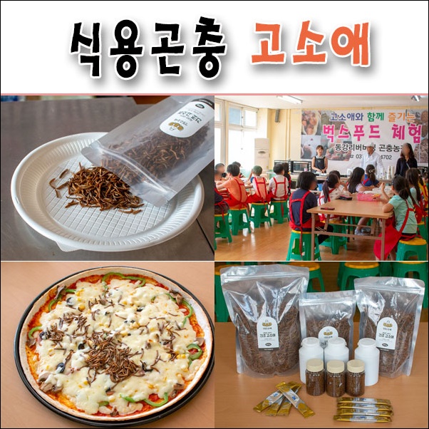 동강리버버깅협동조합 이미지