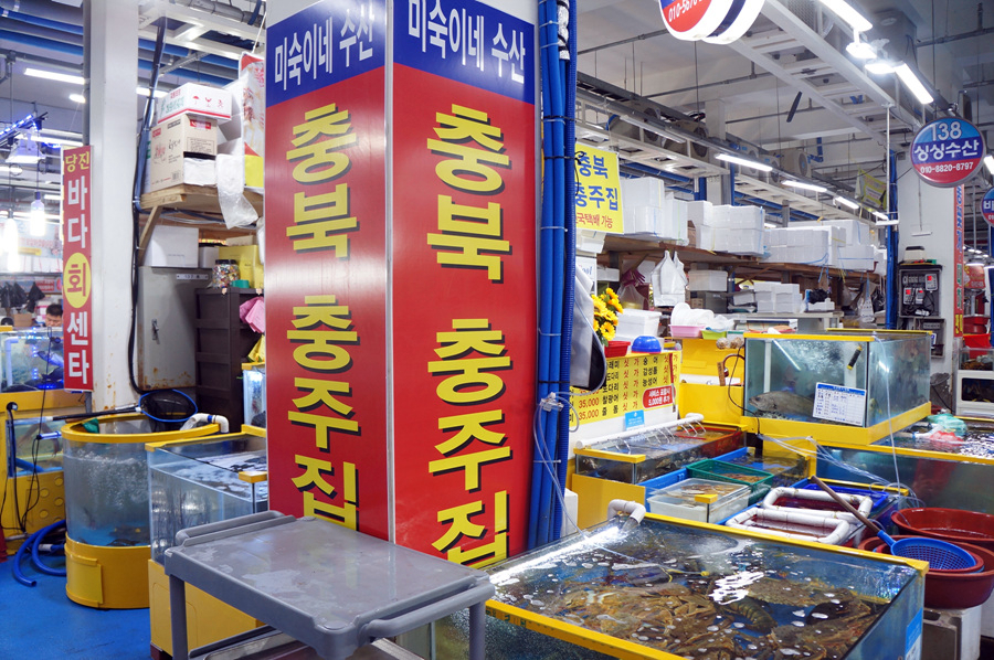 미숙이회수산 이미지