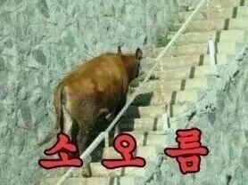 11라운지(lounge) 이미지