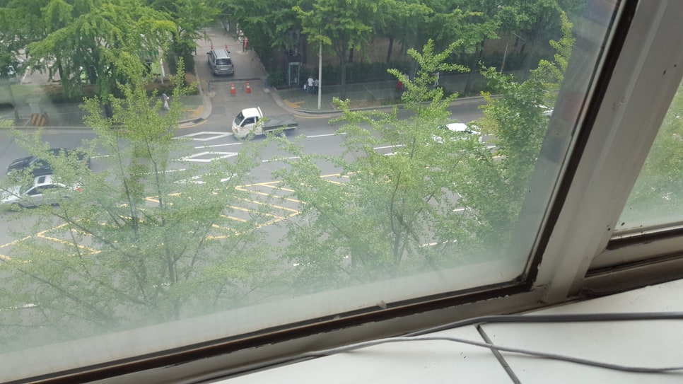 위너스 크린 이미지