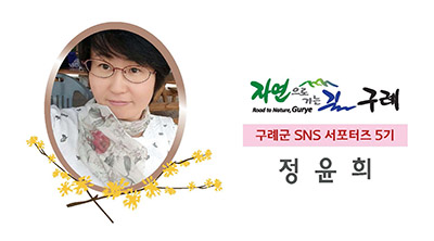 여기가명당 이미지