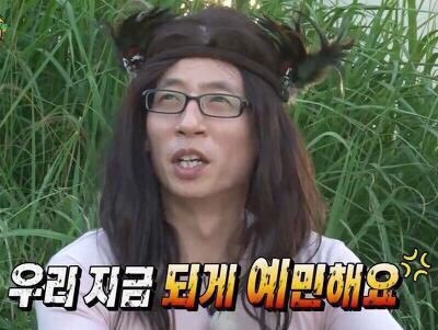 황소밧데리 이미지