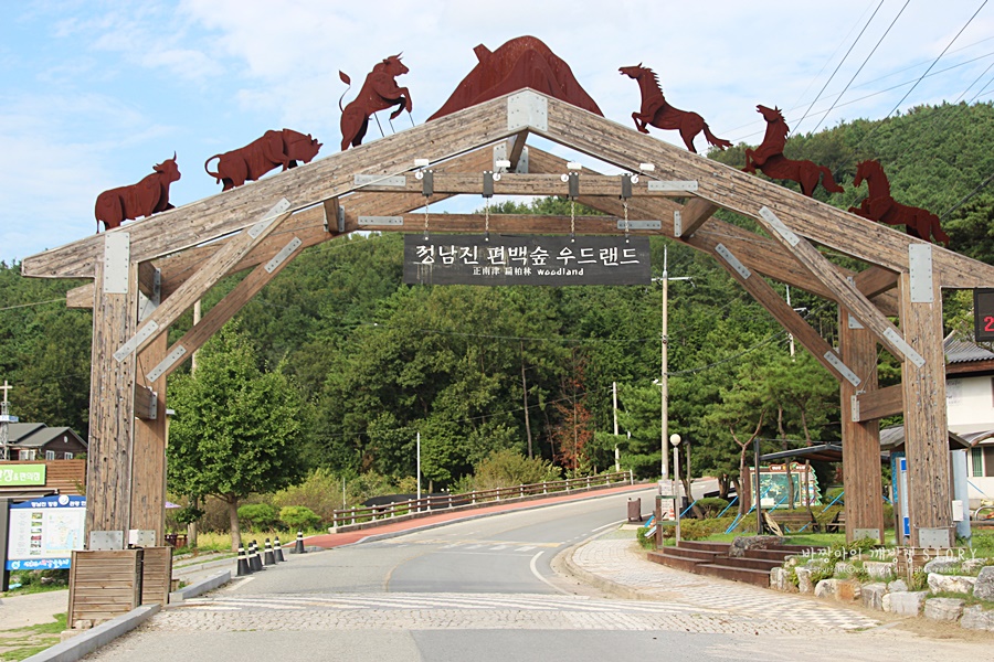 탐마루장흥한우 이미지