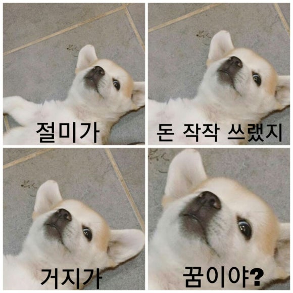 일품왕족발보쌈 이미지