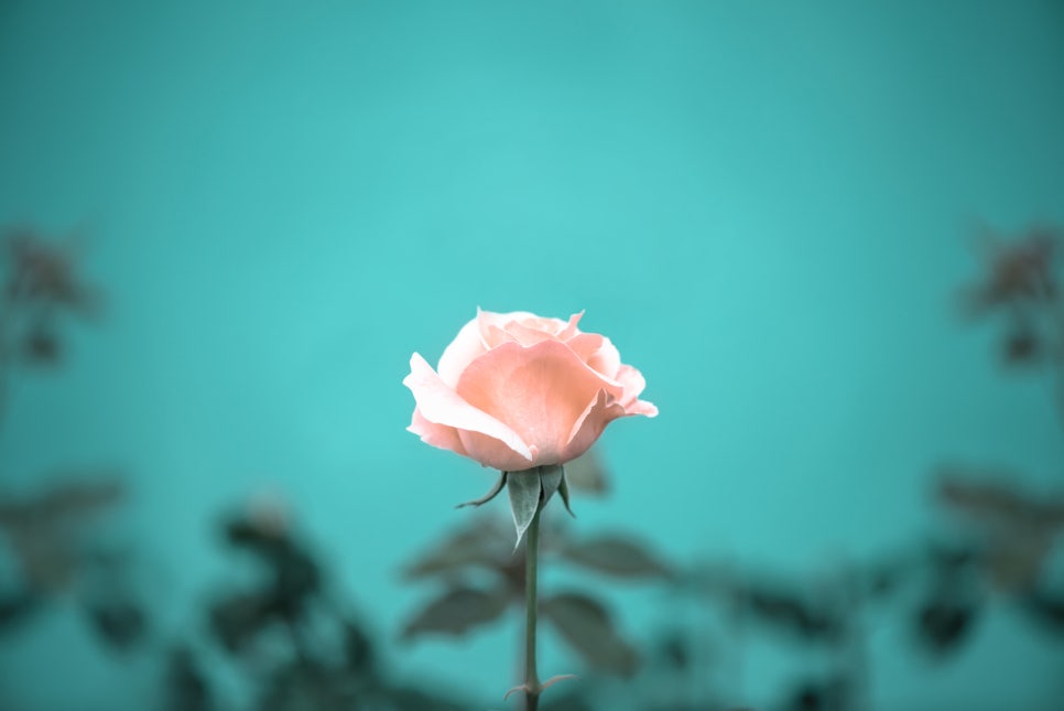 조합 부동산 컨설팅 이미지