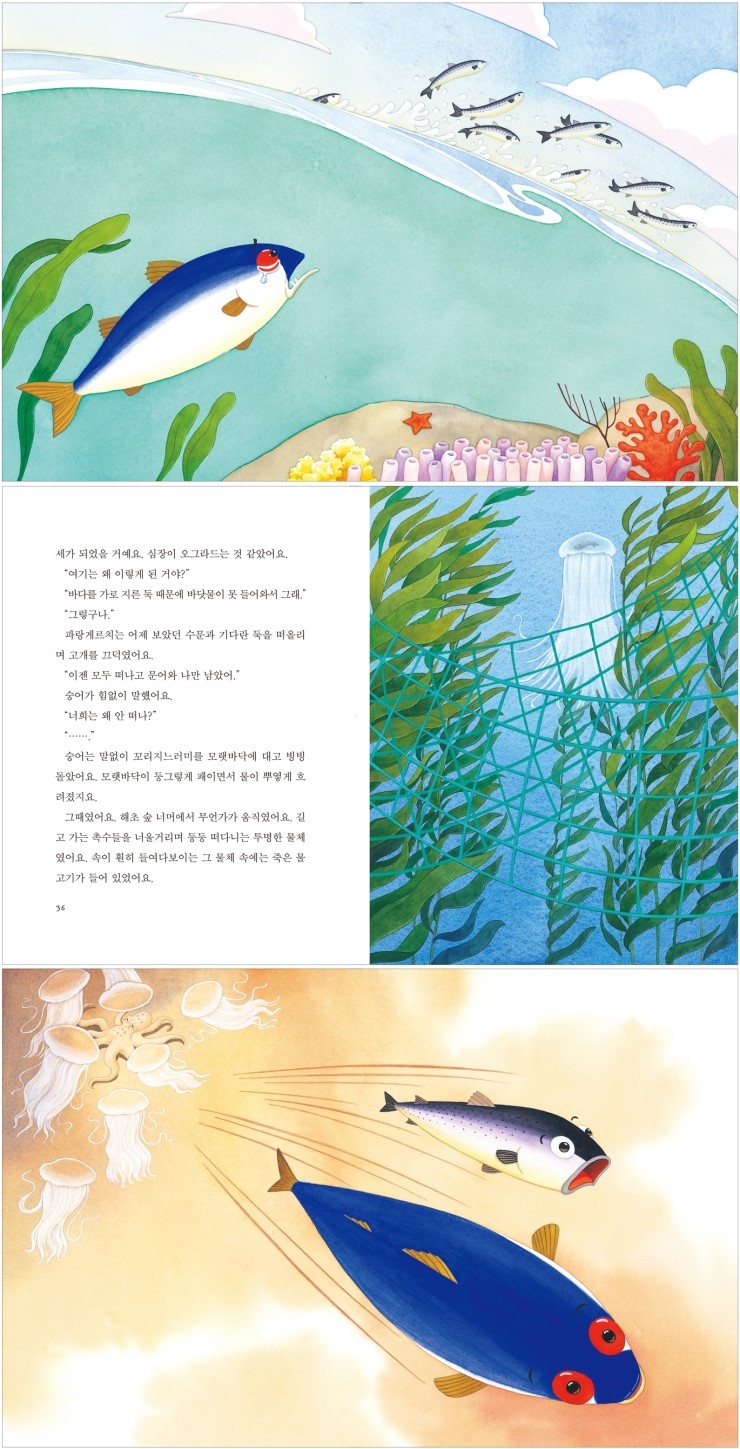 물파랑 이미지
