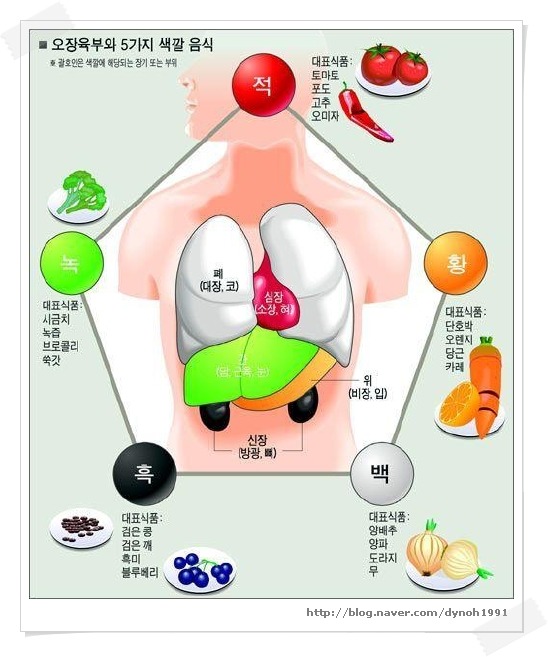 궁상각치우 이미지