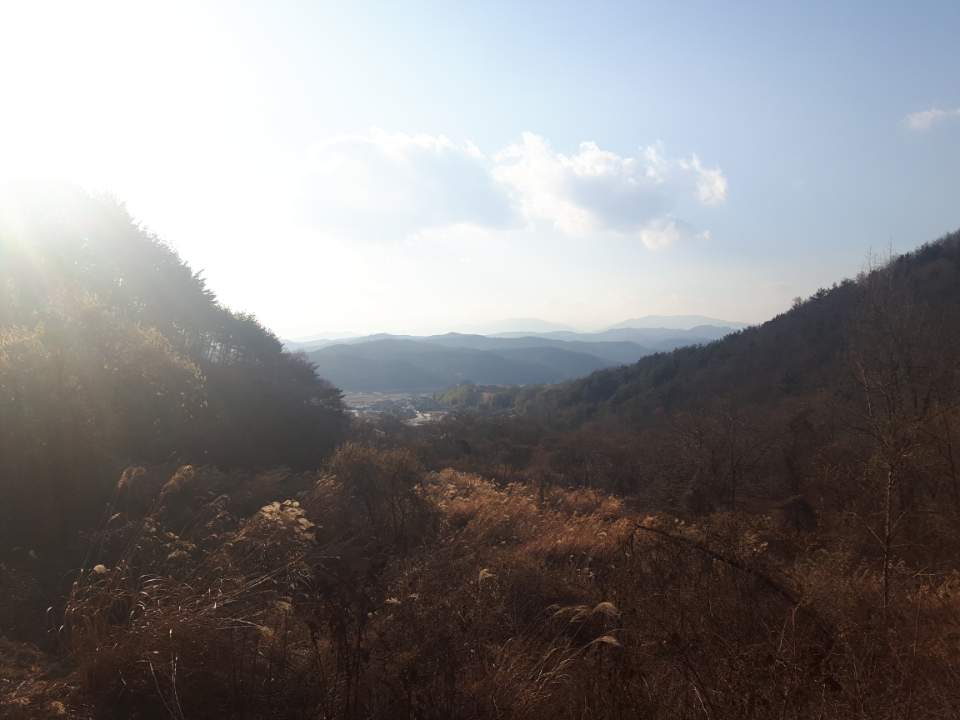 부성반점 이미지