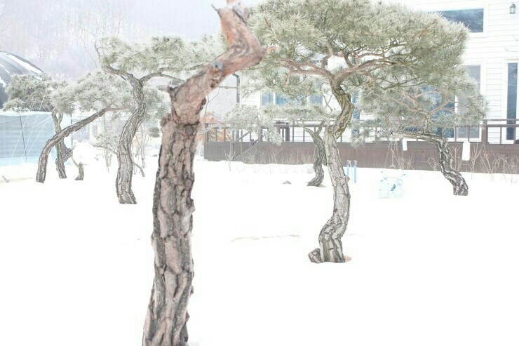 송*하 이미지