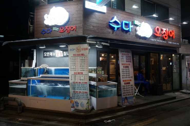수다떠는오징어 이미지
