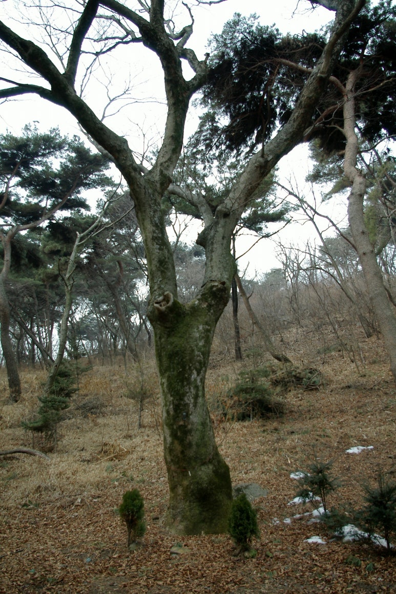 쏘피아서점 이미지