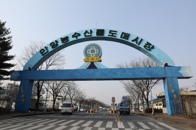 푸른청과 이미지