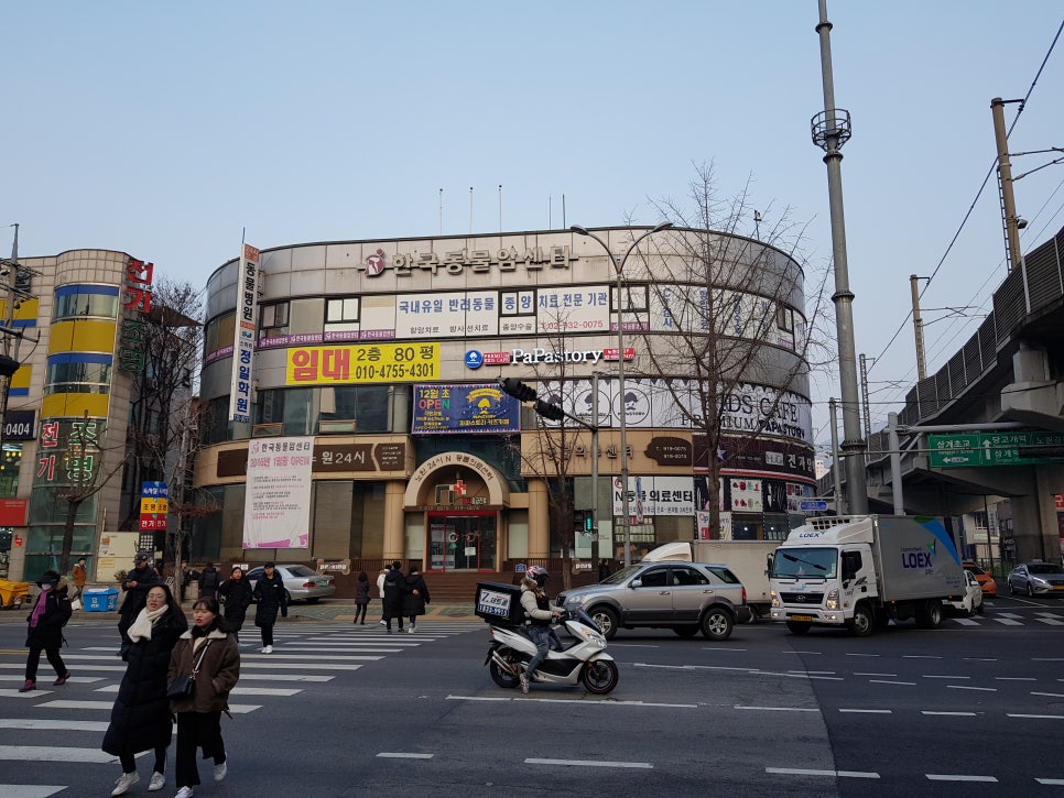 파파스토리노원점 이미지