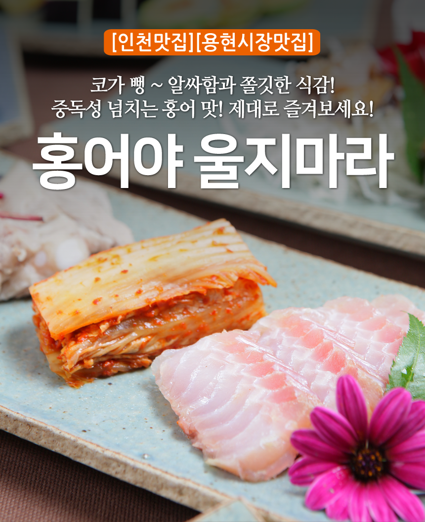 홍어야울지마라 이미지