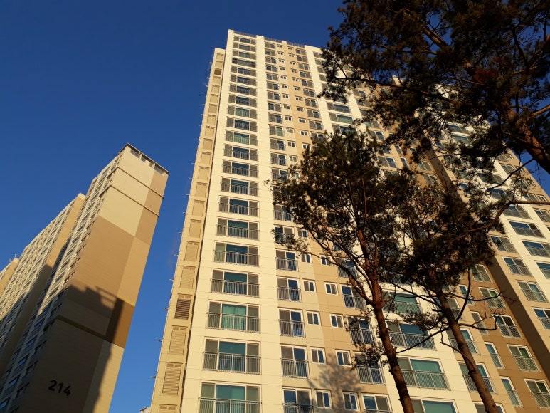 부동산365 이미지