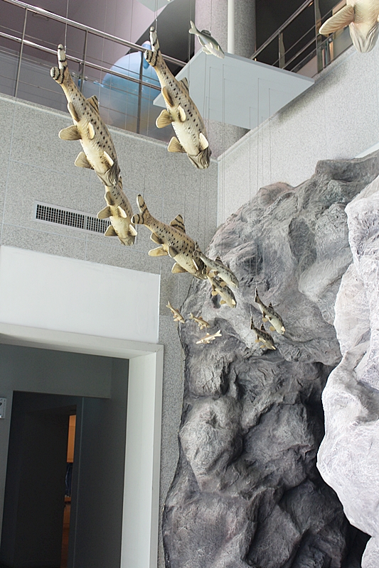 참 좋은 고기마을 이미지