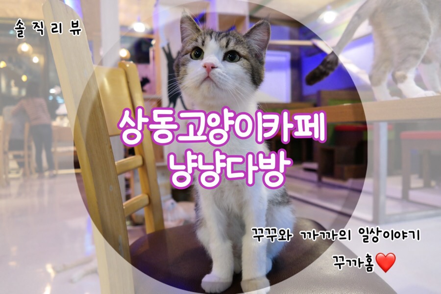 한솔다방 이미지