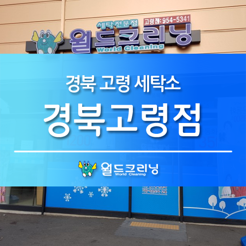 월드크리닝경북 이미지