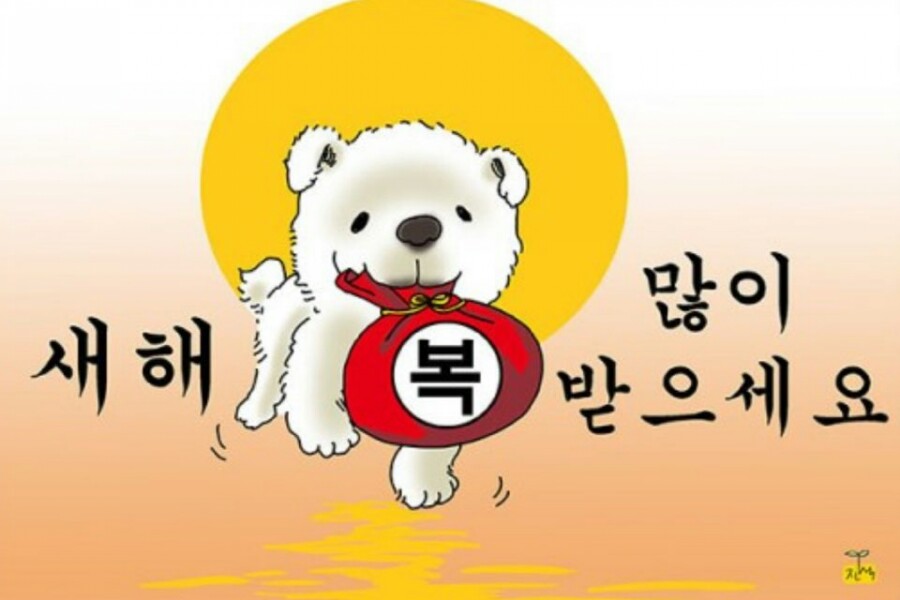 도꼬돈카츠 이미지