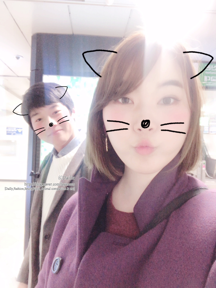 디아노이테 이미지