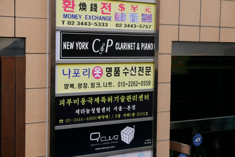 로데오수선 이미지