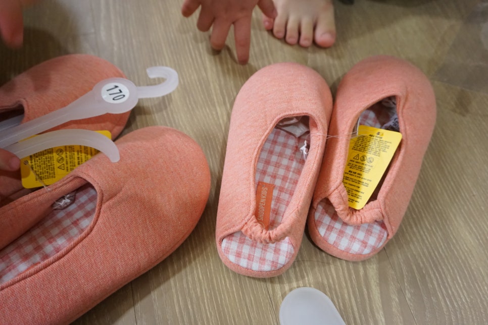 살구텍 이미지