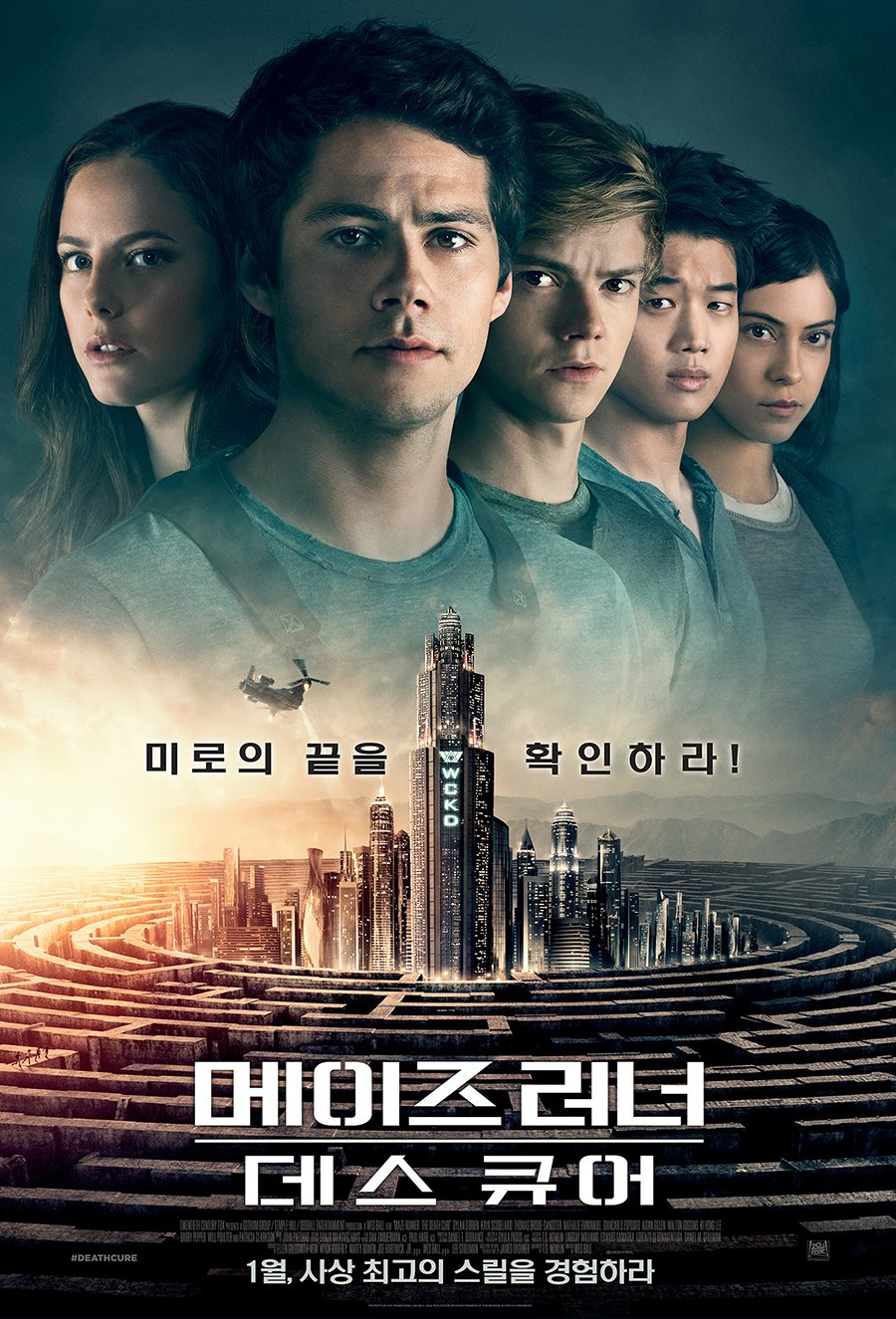 디메이즈 이미지