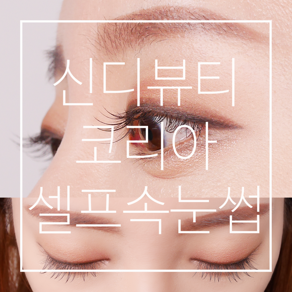 신디코리아 이미지
