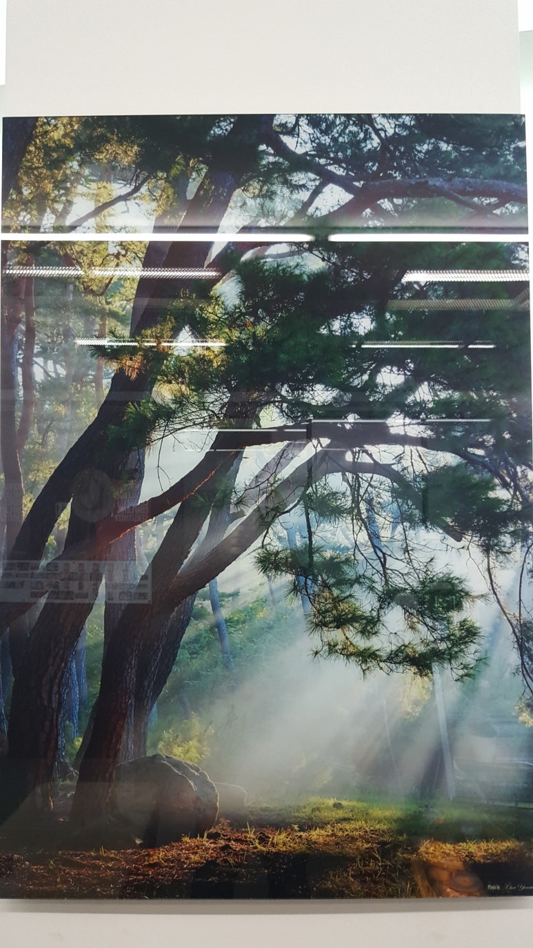 디자인선 이미지