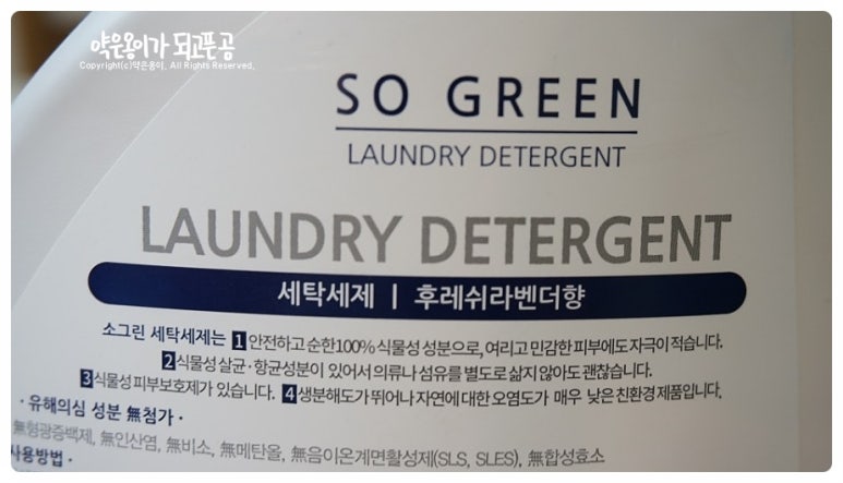 쏘그린 이미지