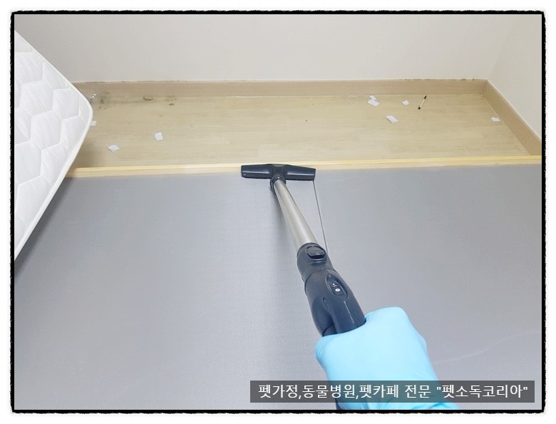 필터퀸코리아 이미지