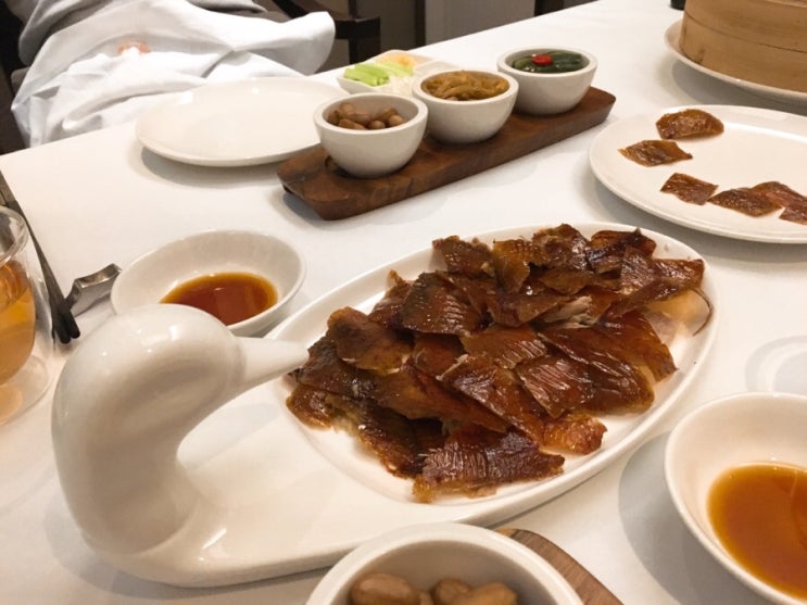 사루비아알앤디 이미지