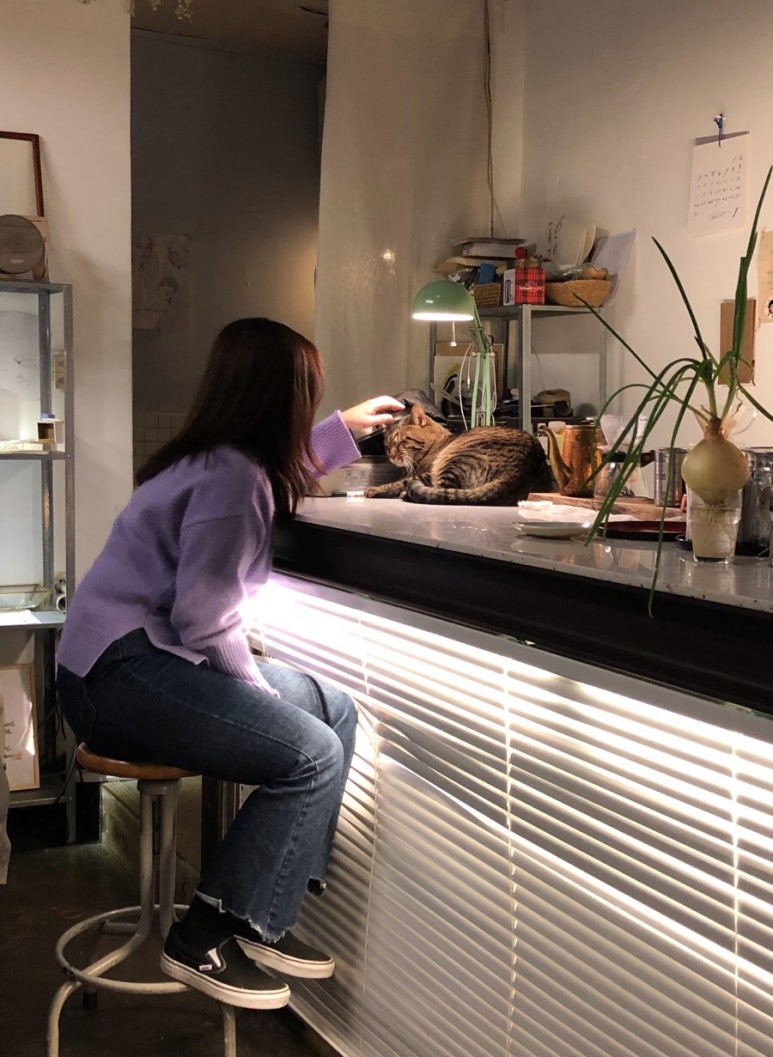 백설사 이미지