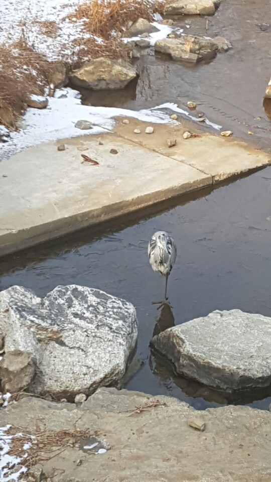 바하어린이집 이미지